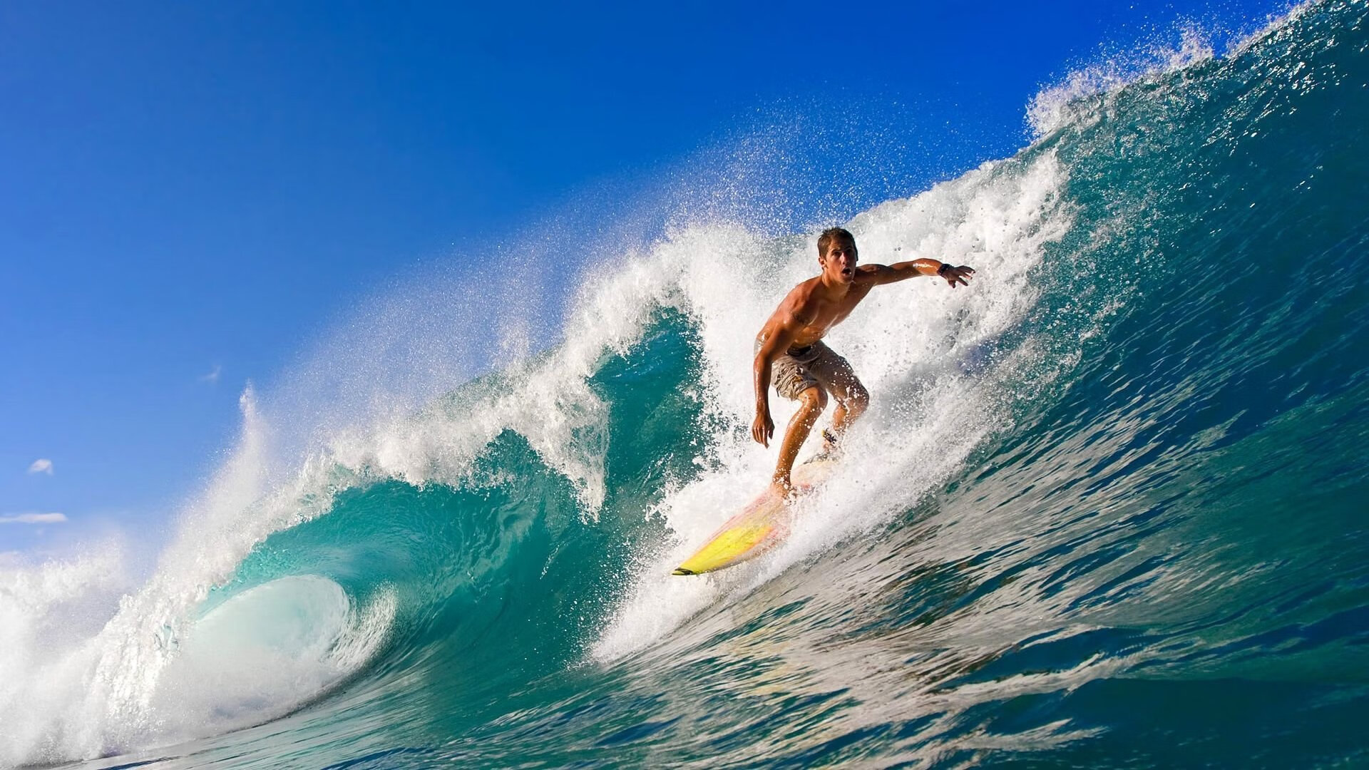 中国跳水队在国际比赛中继续展现统治力，中国跳水队项目